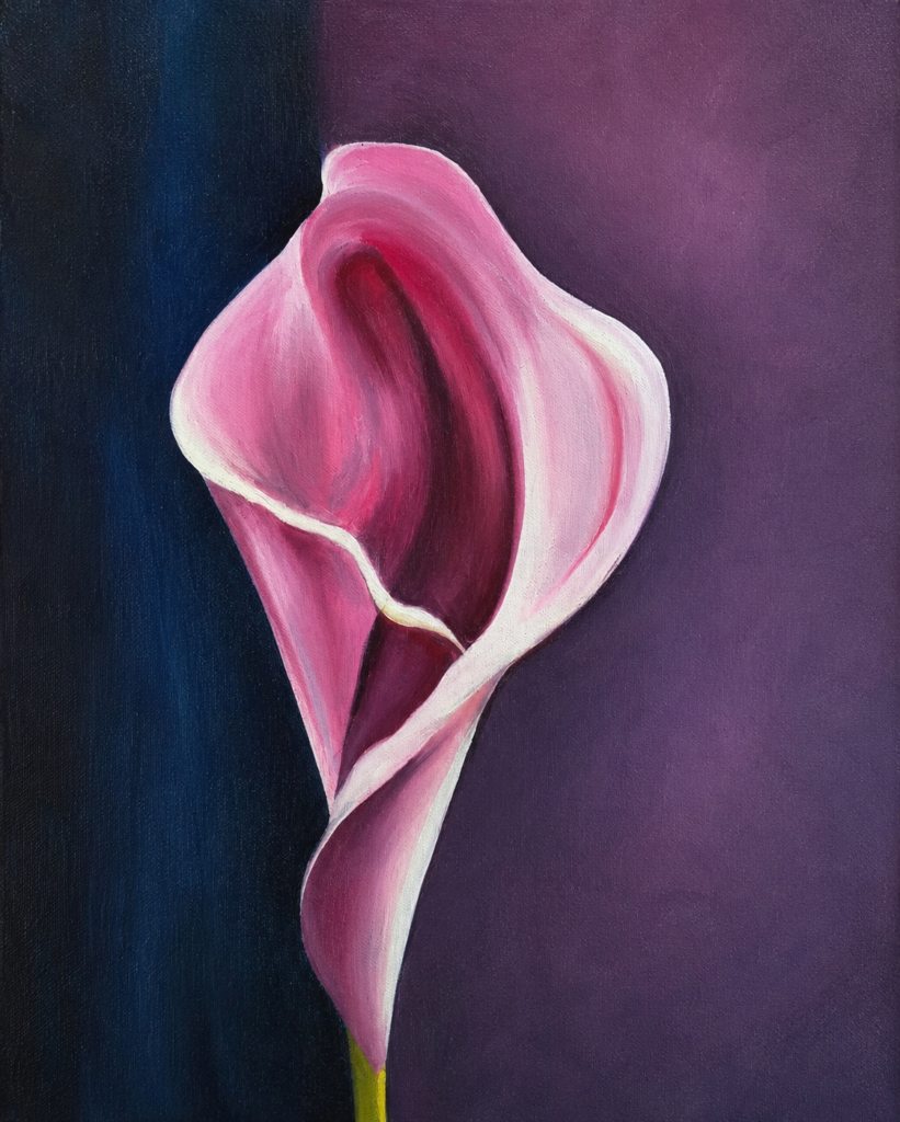 Blush Calla Lily – Elegant Floral Wall Art